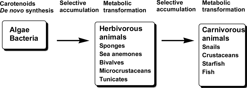 Marinedrugs 09 00278f1