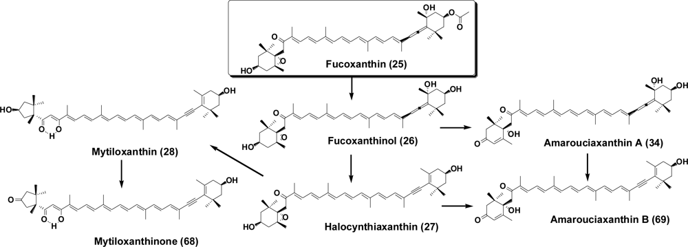 Marinedrugs 09 00278f12