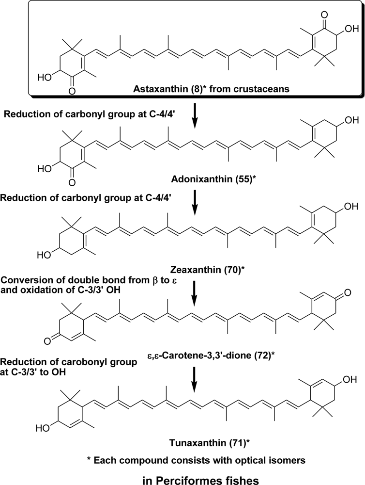 Marinedrugs 09 00278f14