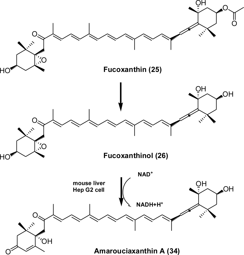 Marinedrugs 09 00278f16