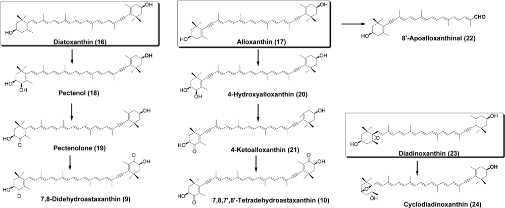 Marinedrugs 09 00278f5