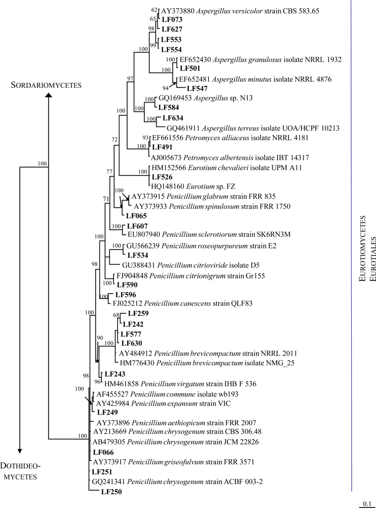 Marinedrugs 09 00561f2b