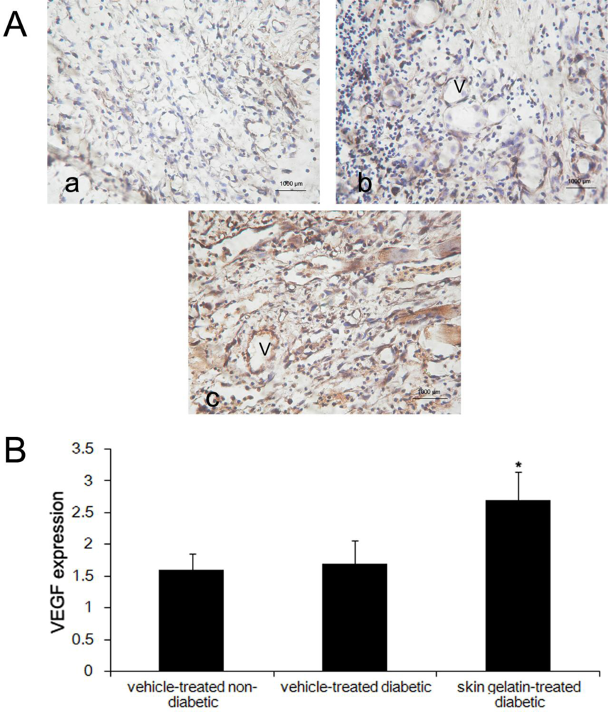 Marinedrugs 09 00696f4