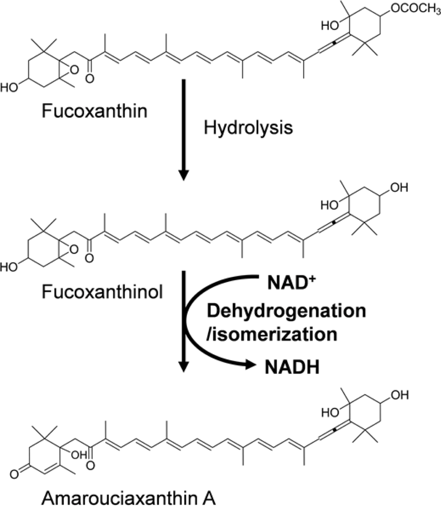 Marinedrugs 09 01024f3 1024
