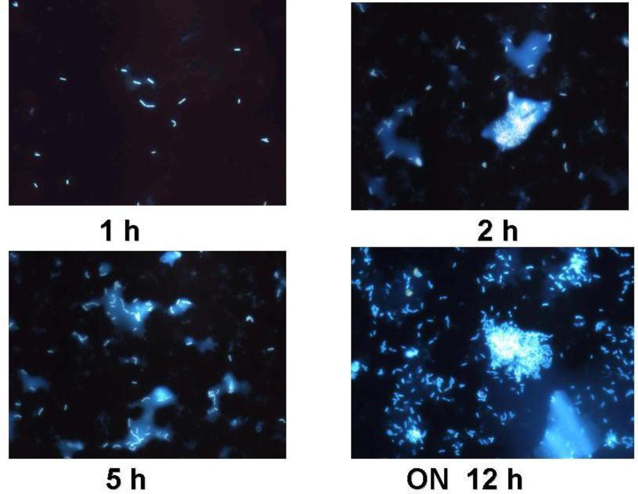 Marinedrugs 09 01119f1