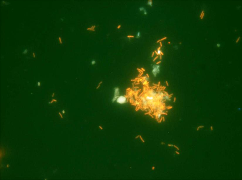 Marinedrugs 09 01119f2