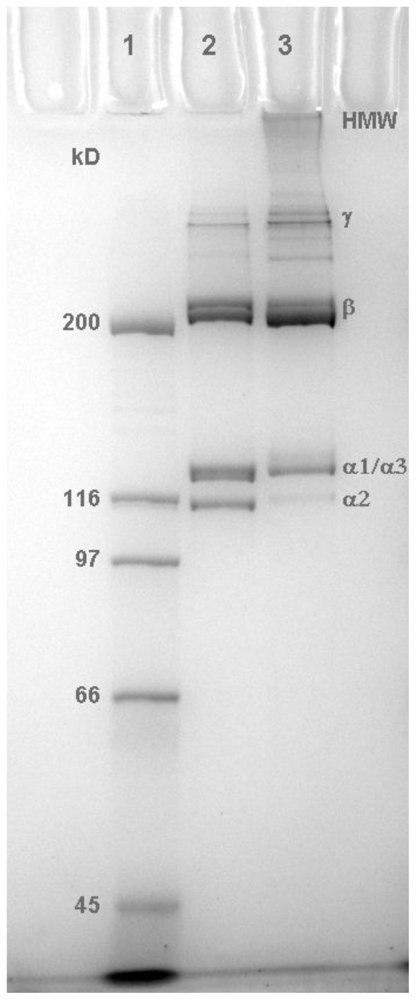 Marinedrugs 09 01176f1