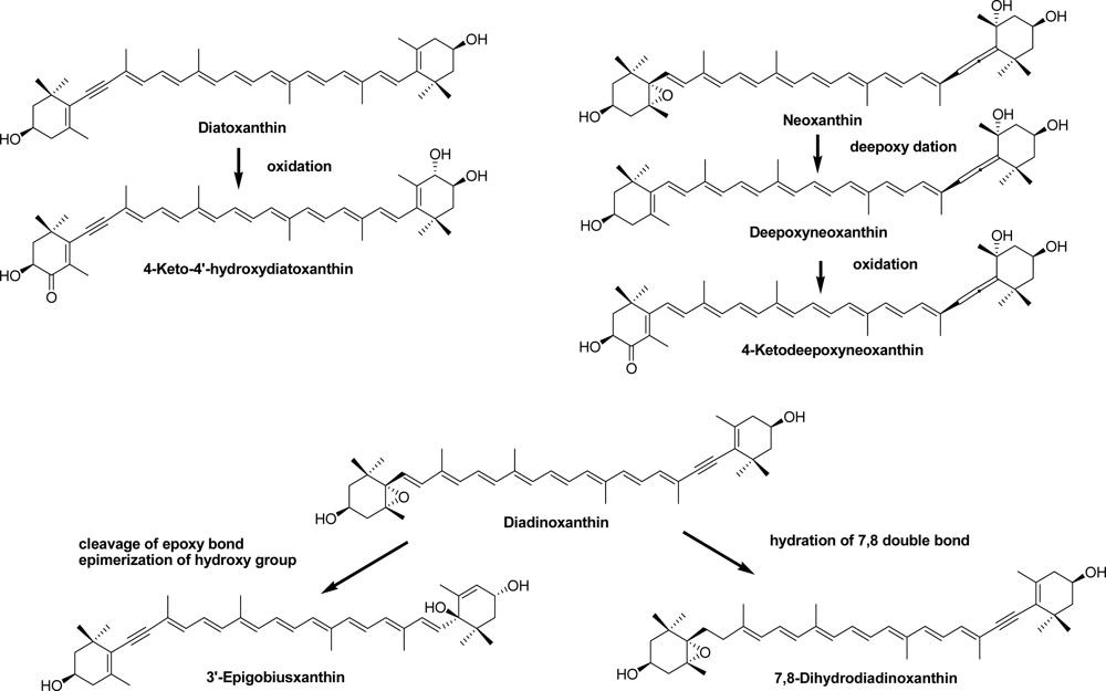 Marinedrugs 09 01419f2
