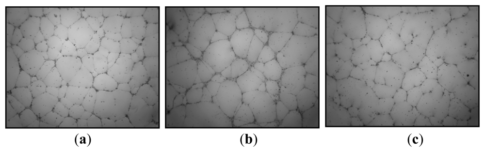 Marinedrugs 09 01664f5