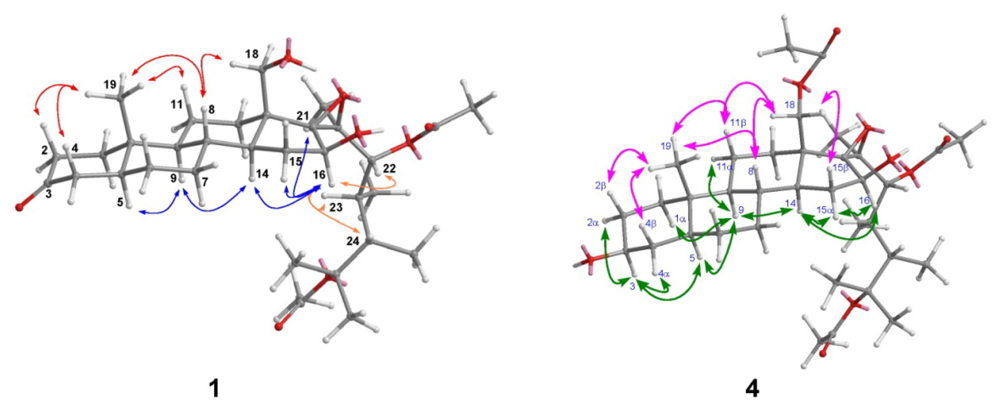 Marinedrugs 09 01829f4