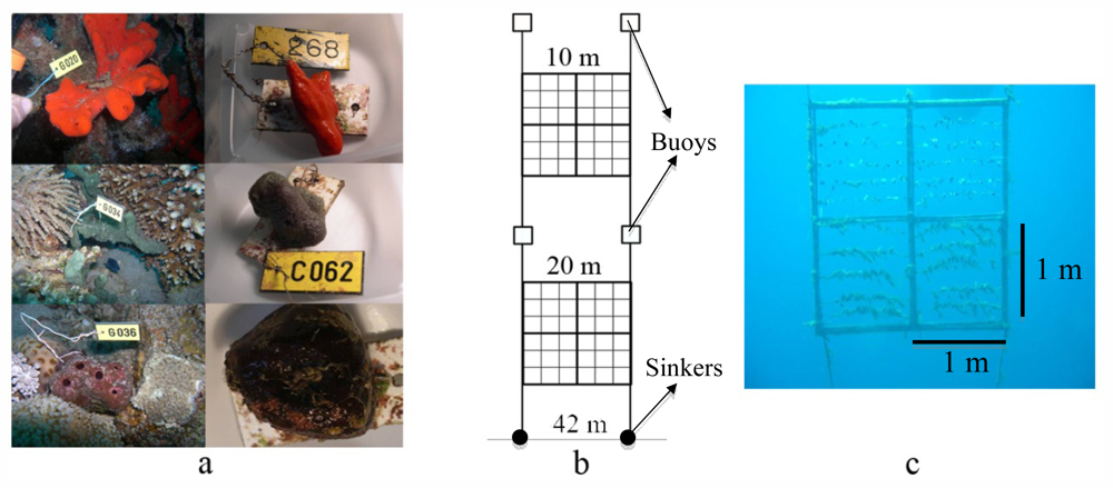 Marinedrugs 09 02201f1