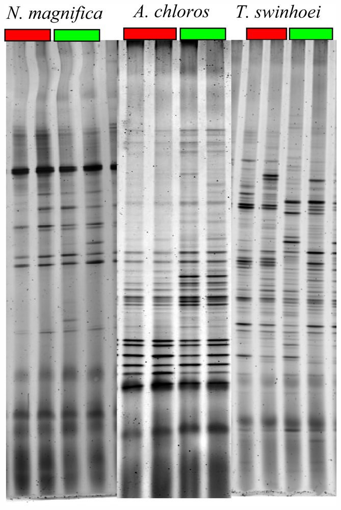 Marinedrugs 09 02201f4