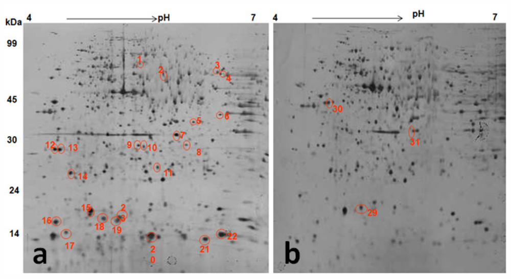 Marinedrugs 09 02256f10