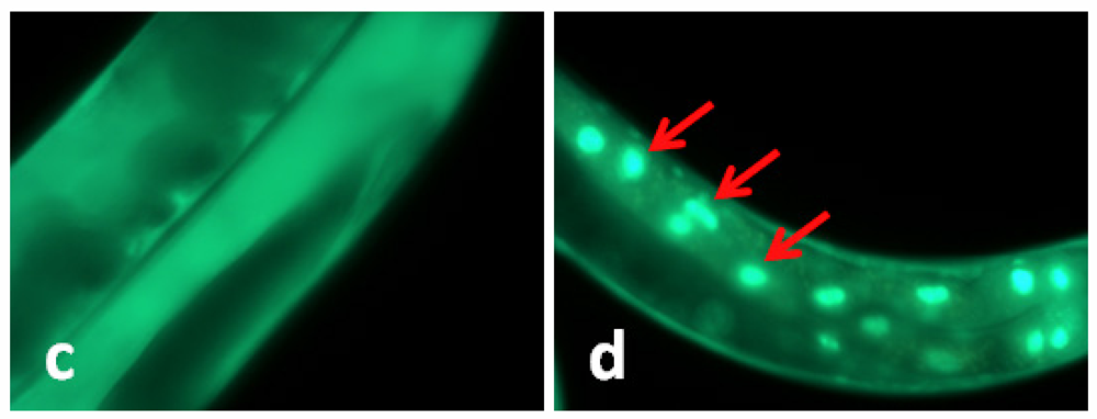 Marinedrugs 09 02256f1b