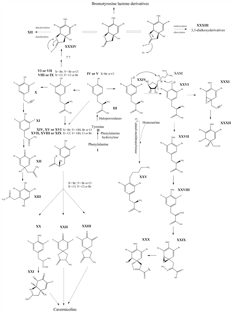 Marinedrugs 09 02316f1