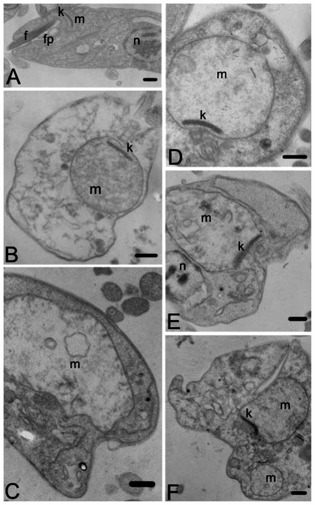 Marinedrugs 09 02369f5 1024