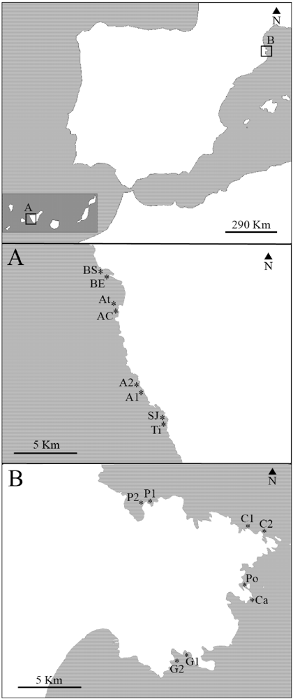 Marinedrugs 09 02499 g001 1024