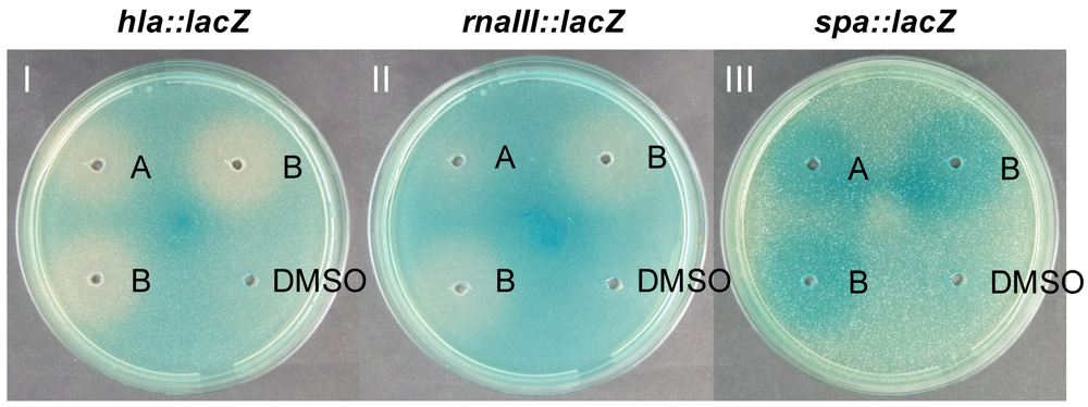 Marinedrugs 09 02537 g001