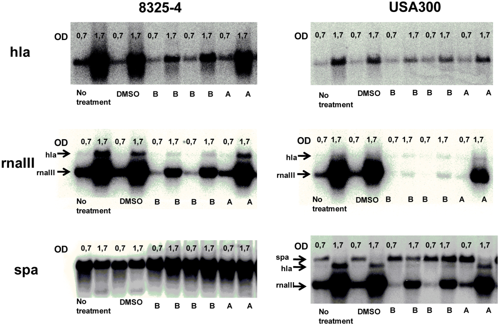 Marinedrugs 09 02537 g004