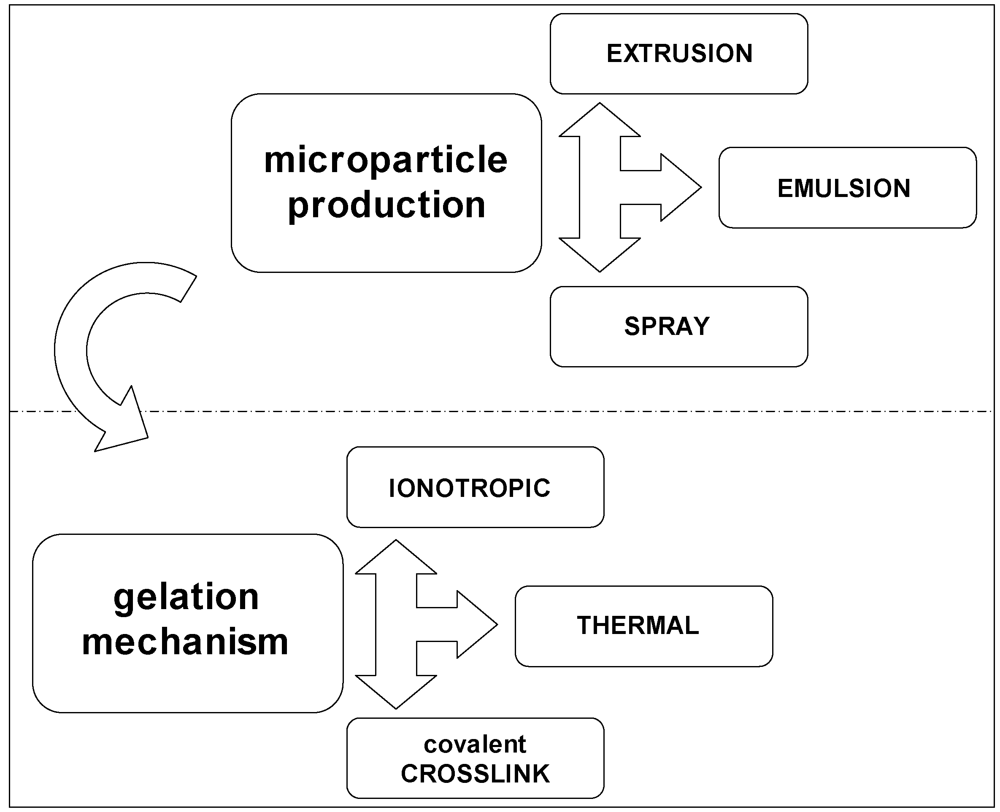 Marinedrugs 09 02572 g006