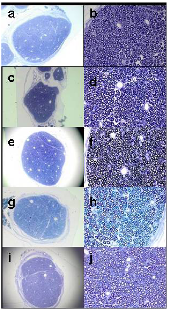 Marinedrugs 09 02717 g002 1024