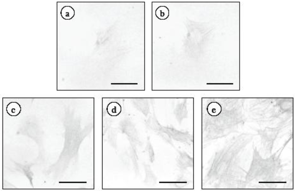 Marinedrugs 09 02793 g001