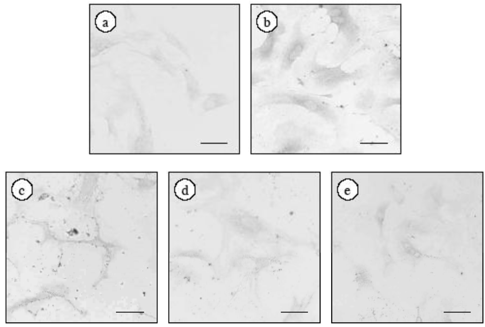 Marinedrugs 09 02793 g002