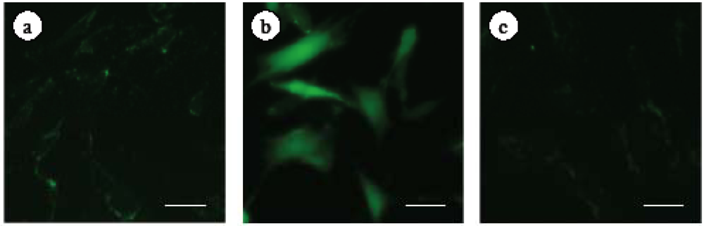 Marinedrugs 09 02793 g005