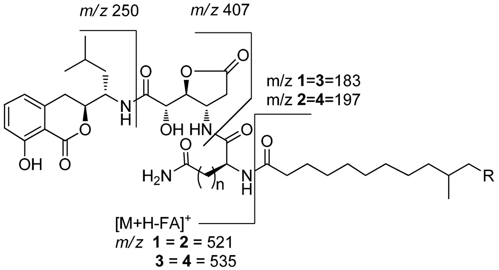 Marinedrugs 10 00319 g003