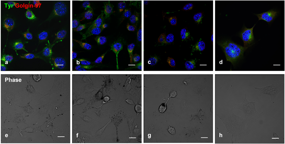 Marinedrugs 10 00465 g004 1024