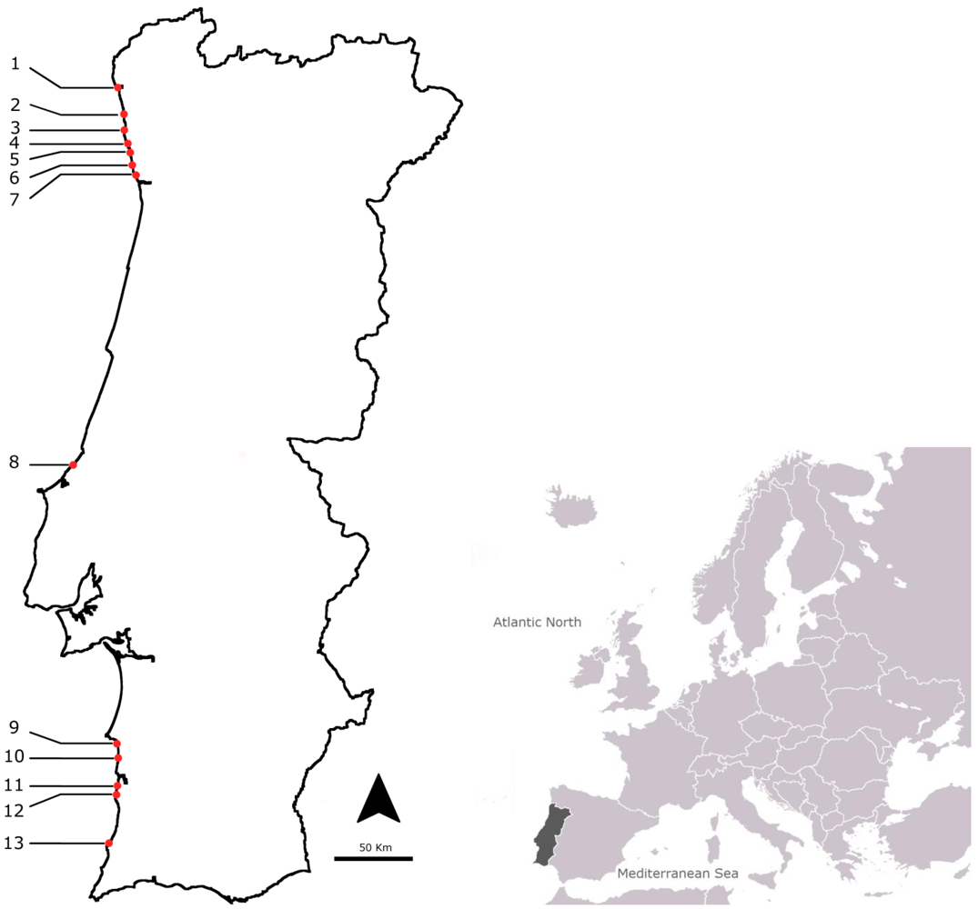 Marinedrugs 10 00712 g001