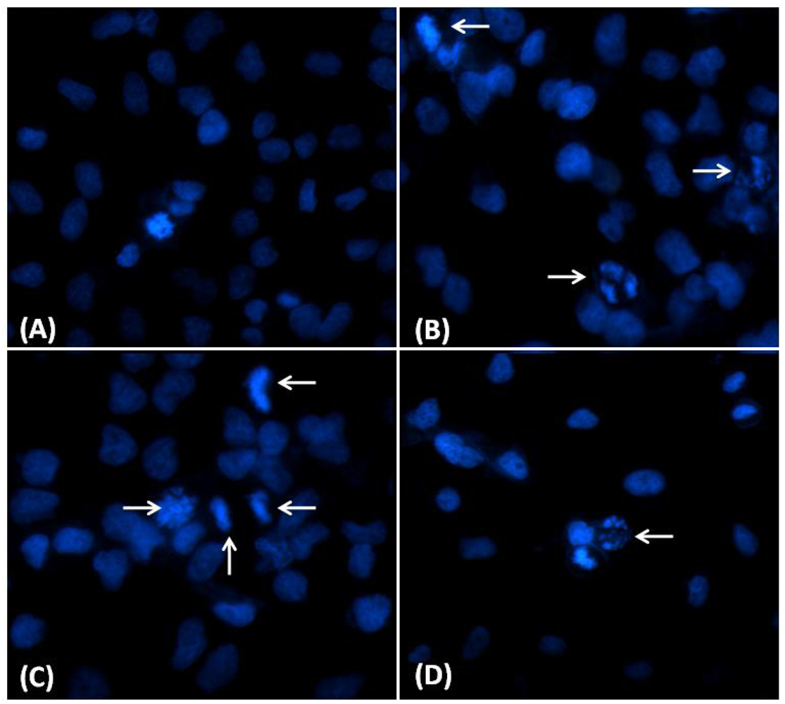 Marinedrugs 10 00727 g005