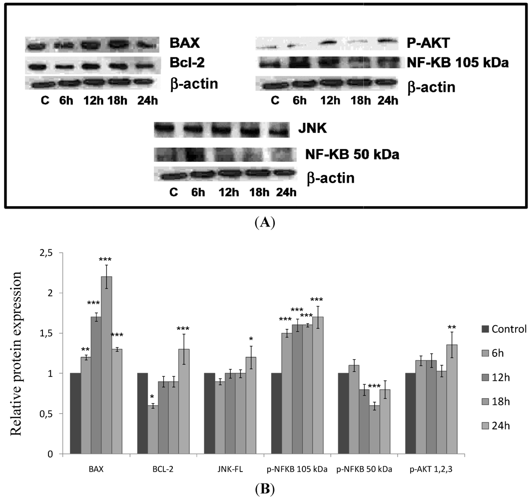 Marinedrugs 10 00727 g008