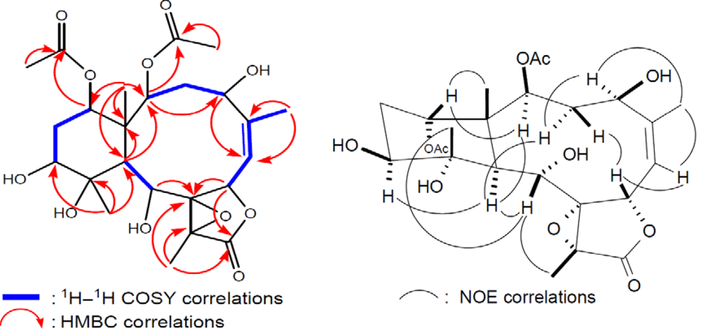 Marinedrugs 10 01019 g003 1024