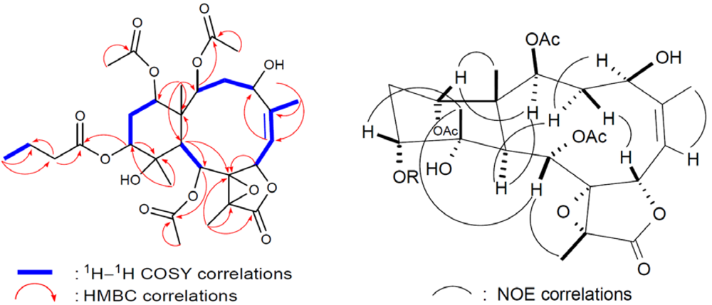 Marinedrugs 10 01019 g005 1024