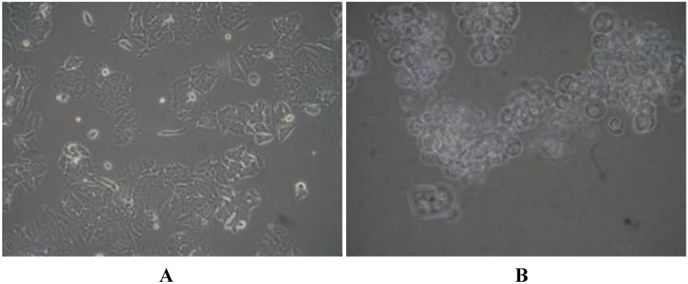 Marinedrugs 10 01126 g004 1024