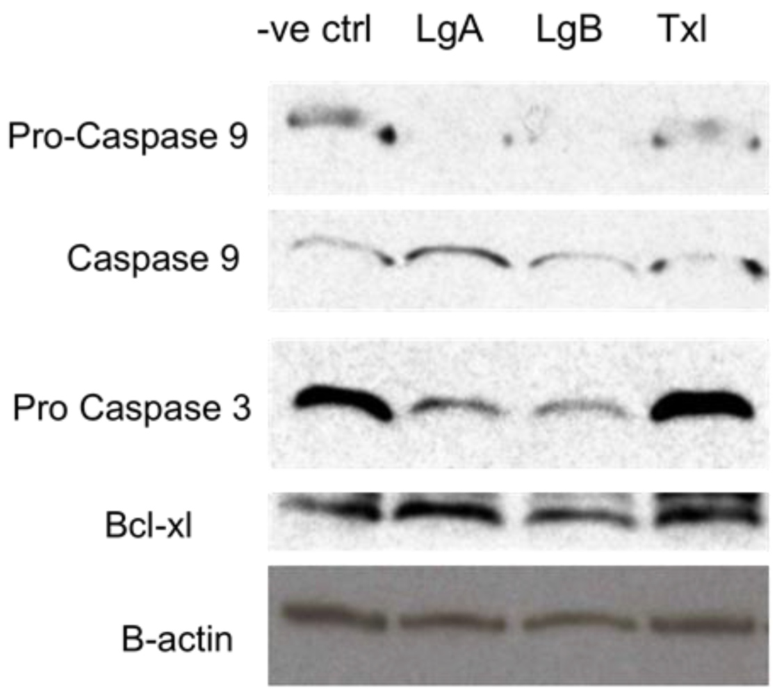 Marinedrugs 10 01126 g005 1024