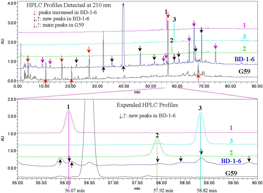 Marinedrugs 10 01266 g007 1024