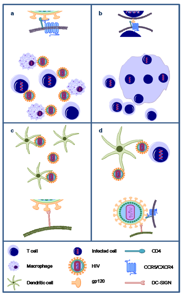 Marinedrugs 10 01476 g003