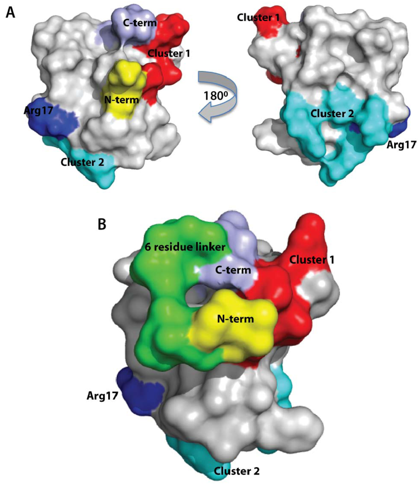 Marinedrugs 10 01511 g006