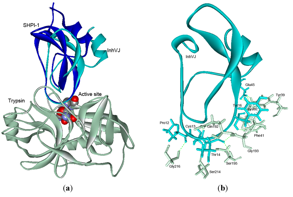 Marinedrugs 10 01545 g007