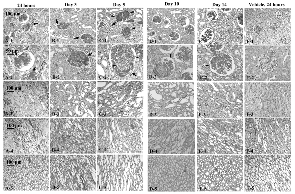 Marinedrugs 10 01582 g002