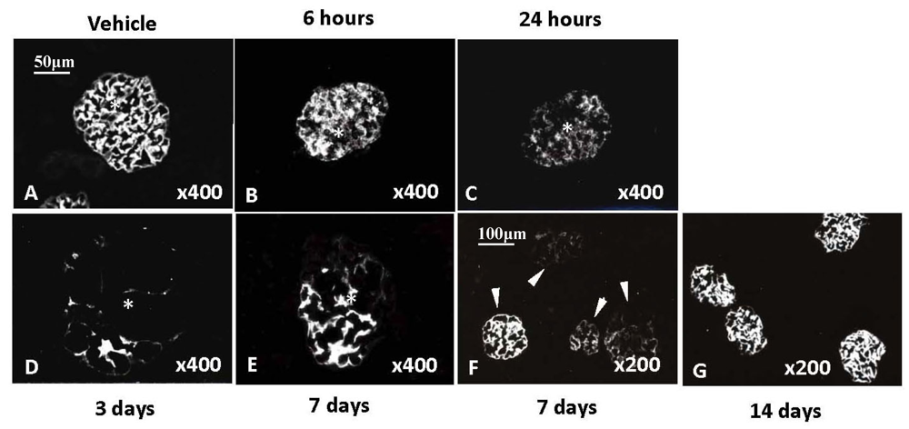 Marinedrugs 10 01582 g004