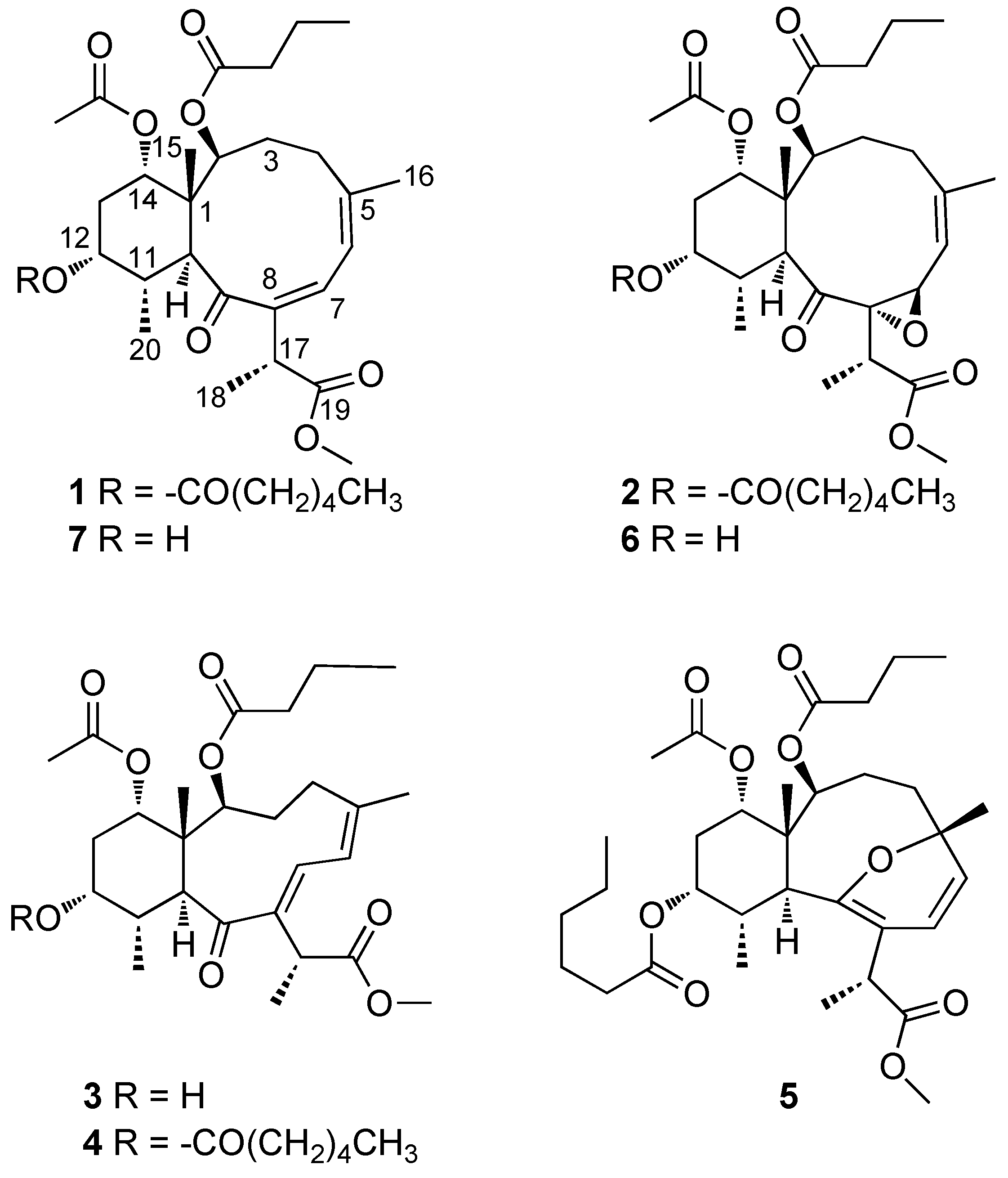 Marinedrugs 10 01662 g003 1024