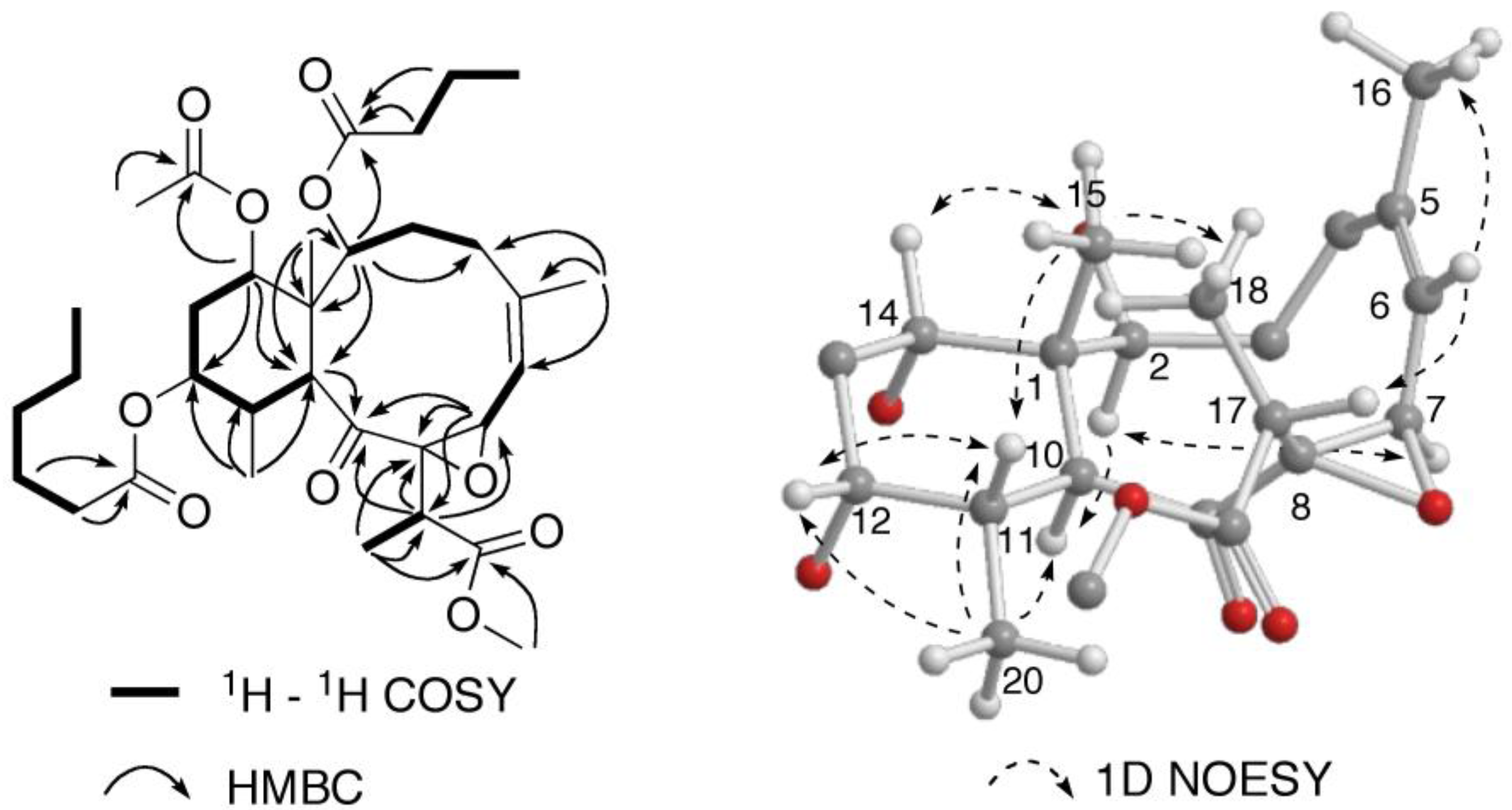 Marinedrugs 10 01662 g006 1024