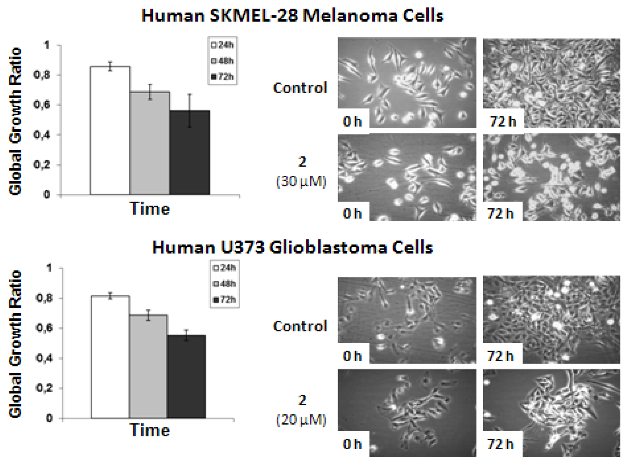 Marinedrugs 10 01799 g005 1024