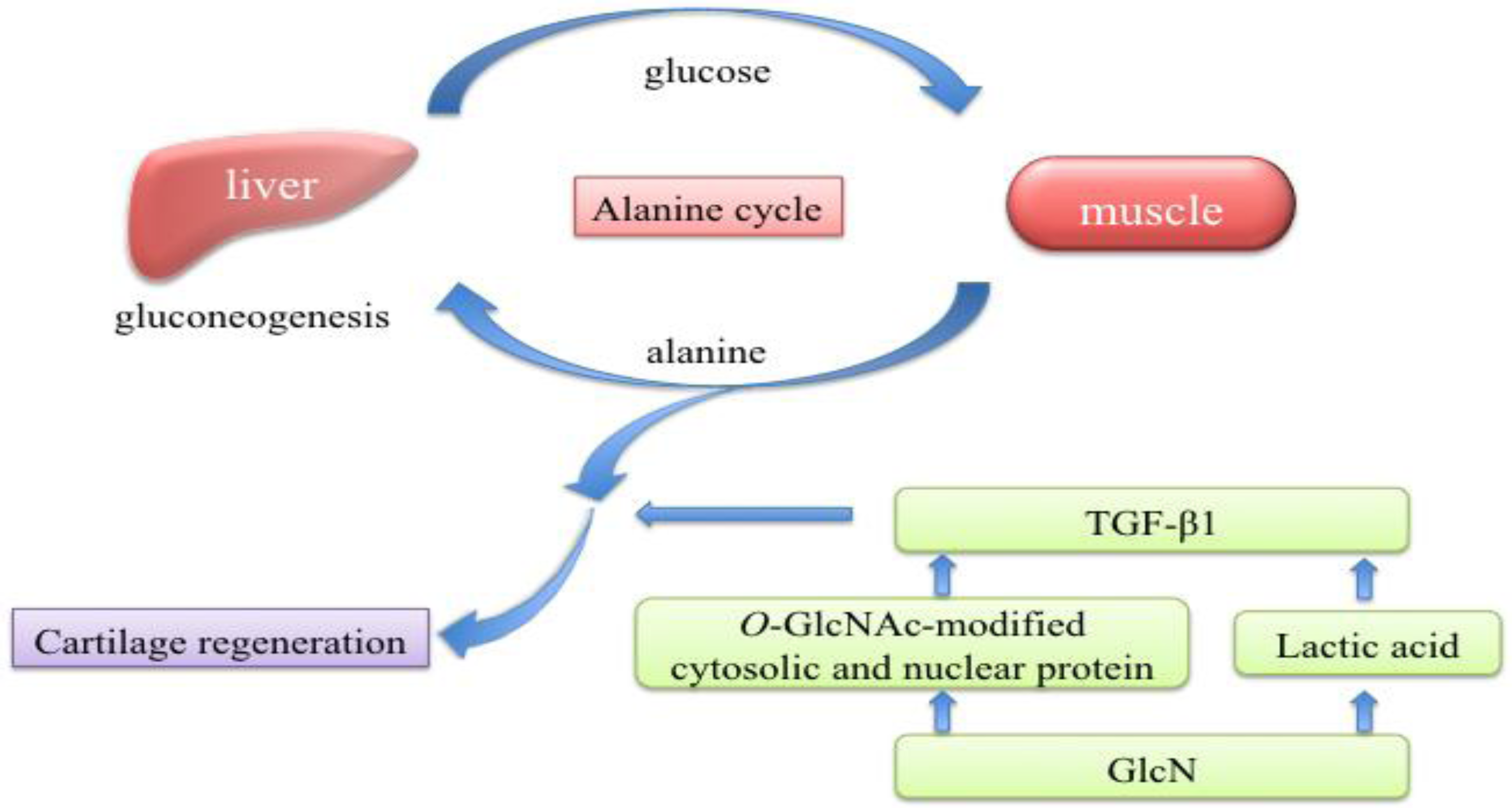 Marinedrugs 10 01873 g003 1024