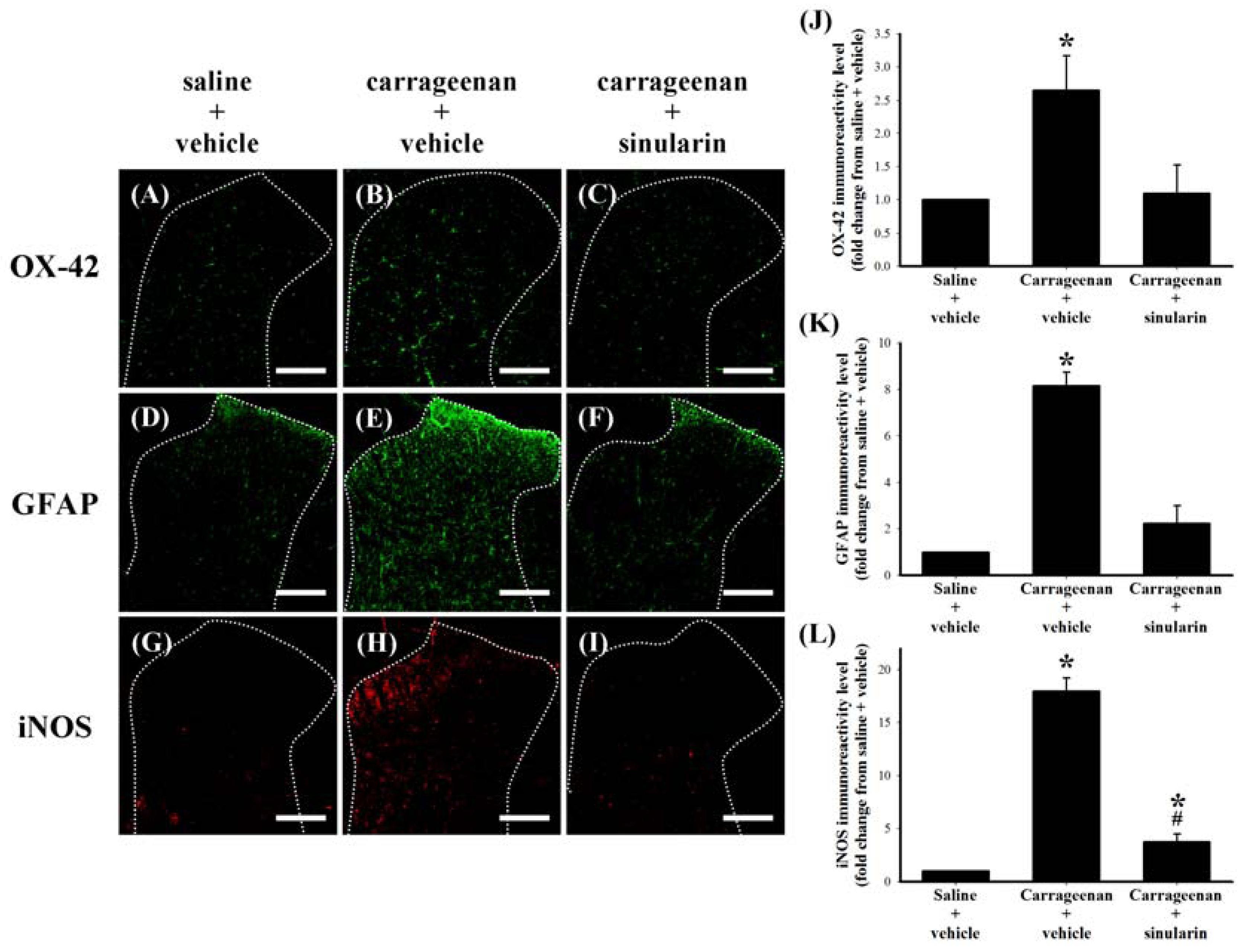 Marinedrugs 10 01899 g005 1024