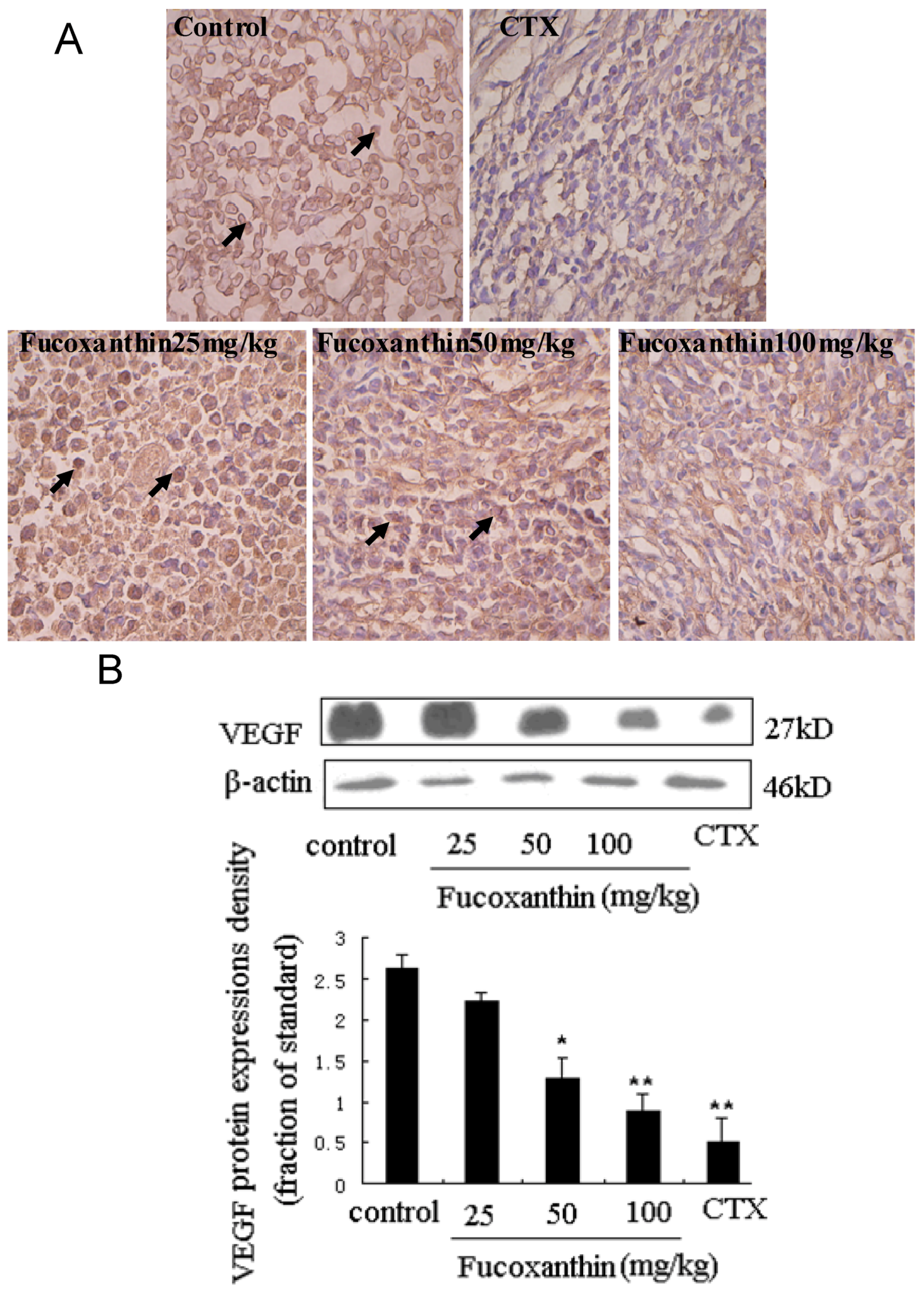 Marinedrugs 10 02055 g004