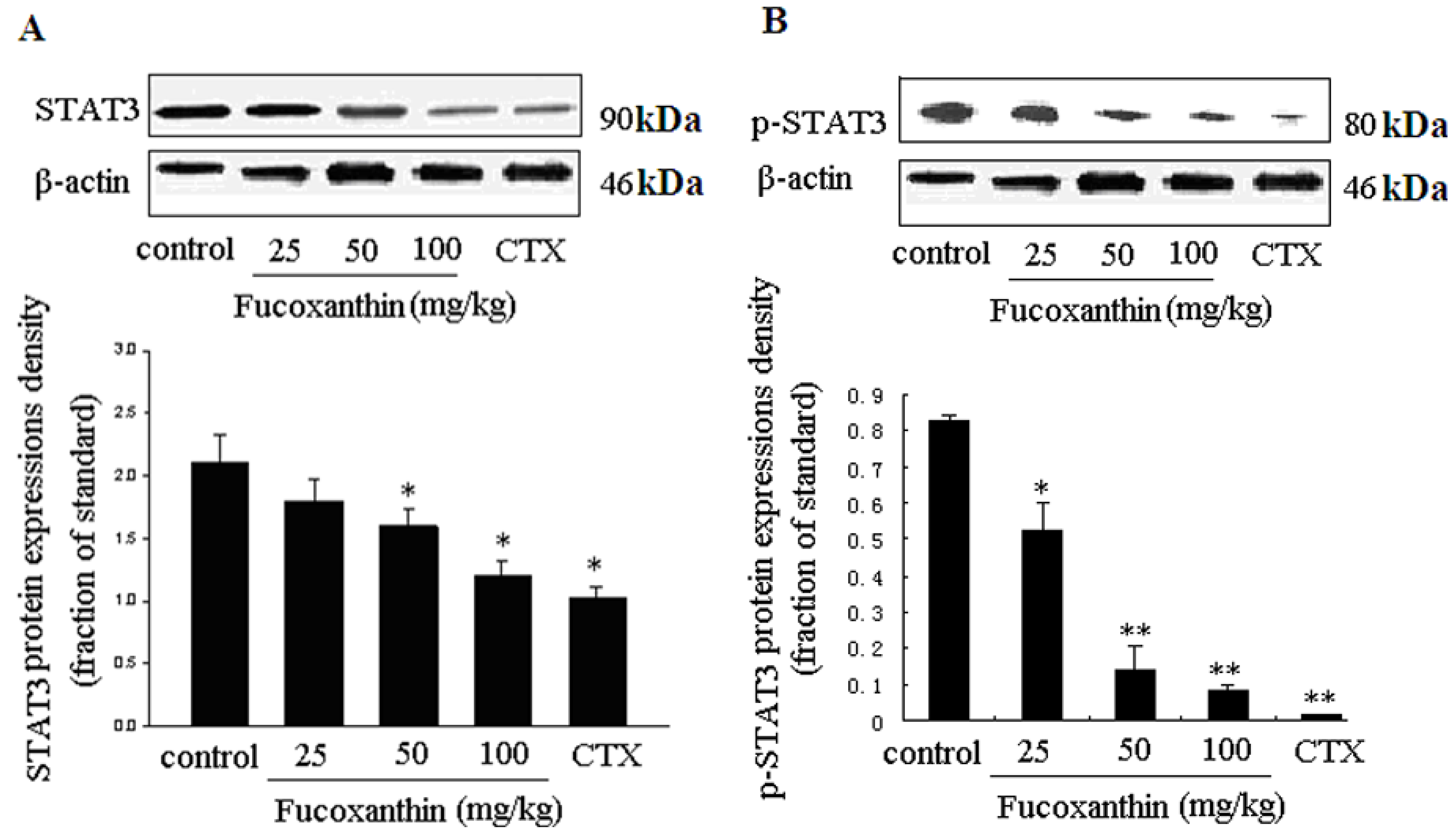 Marinedrugs 10 02055 g005